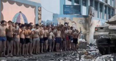 Даниэль Хагари - Бросают оружие и раздеваются: в Газе состоялась массовая сдача в плен боевиков ХАМАС (видео) - focus.ua - Украина - Израиль