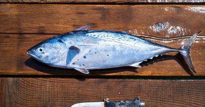 Как очистить рыбу от чешуи без ножа за одну минуту – эффективный лайфхак