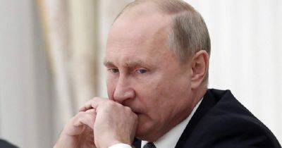 Наступление только в 2025: эксперты объяснили, на что надеяться Путину и Украине, — The Hill
