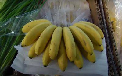 Не все об этом знают: как выбрать спелые и вкусные бананы без ГМО
