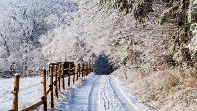 Погода в Украине 11 декабря - какой будет погода в понедельник - прогноз