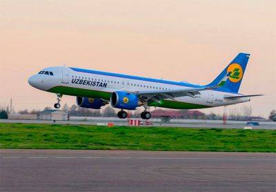 Из-за буйного пассажира самолет, летевший из Нью-Йорка в Ташкент, приземлился в Санкт-Петербурге