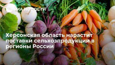 Алексеенко: Херсонская область нарастит поставки сельхозпродукции в регионы РФ