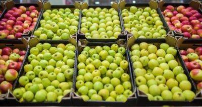 Яблоко выросло в цене почти на 50 процентов. Эксперты назвали основные причины.
