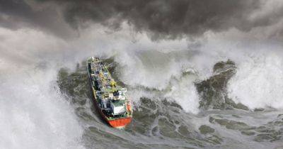 30-метровые волны обрушиваются на Новую Зеландию каждые 580 лет: что заставляет их возвращаться