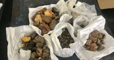 В Ровенской области у копателей изъяли янтарь на 4,5 млн грн: в группировку входил депутат