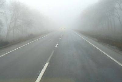 Туман и сырость проберут до костей: синоптики предупредили о погоде на вторник, 12 декабря