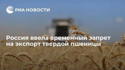 Правительство России ввело временный запрет на экспорт твердой пшеницы до 31 мая