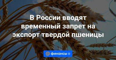 В России вводят временный запрет на экспорт твердой пшеницы