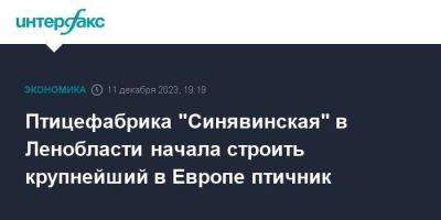 Птицефабрика "Синявинская" в Ленобласти начала строить крупнейший в Европе птичник - smartmoney.one - Москва - Россия - Ленинградская обл. - р-н Кировский