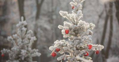 Погода в Украине 12 декабря: мокрый снег и дождь, местами гололед (КАРТА) - dsnews.ua - Украина - Киев