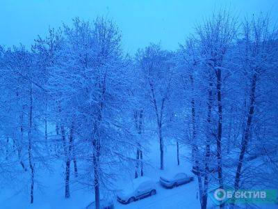 Харьков засыпало снегом: синоптики предупредили об опасности