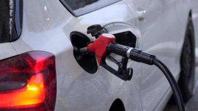 В правительстве заявили о продолжении снижения стоимости бензина в регионах РФ