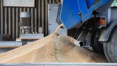 В отрасли исключили дефицит твердой пшеницы после запрета на экспорт