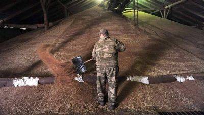 Правительство временно запретило экспорт твердой пшеницы из России