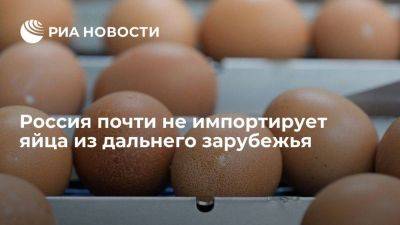 Страны дальнего зарубежья почти не экспортируют пищевые яйца в Россию