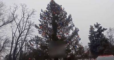 "Хиленькая": оккупанты смогли "удивить" жителей Мариуполя праздничной елкой (фото, видео)