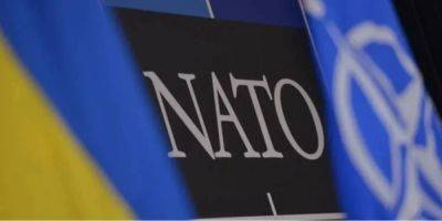 Министр обороны Латвии убежден, что Украина должна стать членом НАТО как можно быстрее