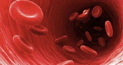 Ученые назвали продукты, которые очищают кровь