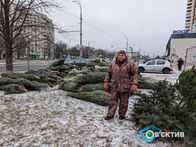 У продавцов елок в Харькове должны быть линейки — полиция