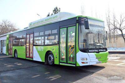 Семь водителей автобусов в Ташкенте уволили за разговор по телефону во время езды