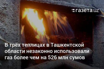 В трёх теплицах в Ташкентской области незаконно использовали газ более чем на 526 млн сумов