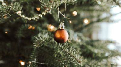 Как выбрать безопасную елку к зимним праздникам - эксперты Минздрава дали советы