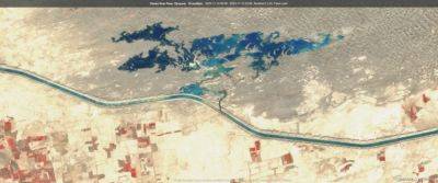 Экологи обнаружили следы серьезной аварии на канале Кош-Тепа в Афганистане. Ее последствия пока не ликвидированы