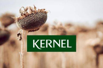 Kernel выплатит нулевые дивиденды за 2023 финансовый год