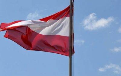 СМИ: В Австрии объяснили задержку 12 пакета санкций