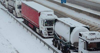 На границе со Словакией частично возобновили пропуск грузовиков, — ГНСУ