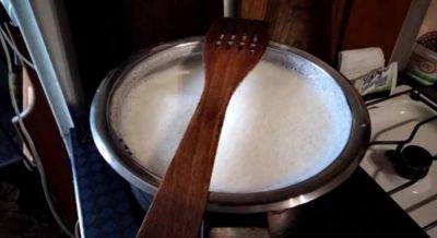 Как быстро вымыть плиту от сбежавшего молока: пригодится один секрет