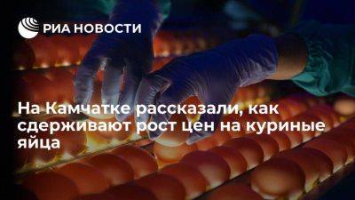 На Камчатке проводится плановая работа по сдерживанию роста цен на куриные яйца