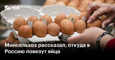 Минсельхоз рассказал, откуда в Россию повезут яйца