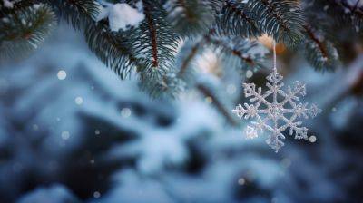 Погода в Украине на Рождество - прогноз на 25 декабря