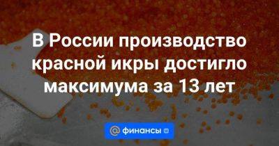 В России производство красной икры достигло максимума за 13 лет
