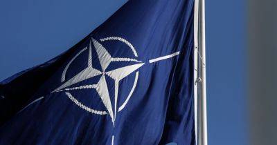 Продолжают следить: в НАТО прокомментировали падение дрона в Румынии