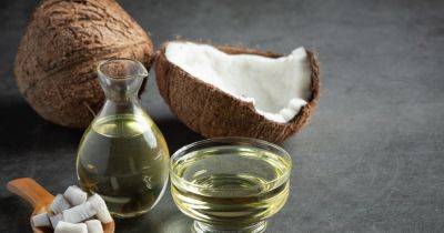 Темная сторона кокосового масла: ученые развенчали мифы об этом "суперпродукте"