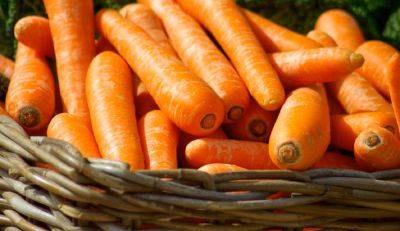 Морковь, картошка и свекла, с тобой мы больше не друзья: в чем вред корнеплодов и кому нельзя их потреблять
