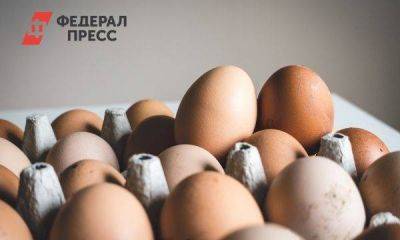 Минсельхоз начал работать над снижением цен на яйца