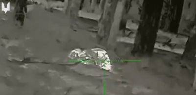 Снайперы ССО уничтожили саперов РФ, минировавших лес под Купянском (видео)