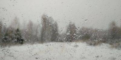 Зимняя слякоть. Синоптики сообщили о нестабильной погоде на выходных и предупредили, к кому придет снег и сильные дожди