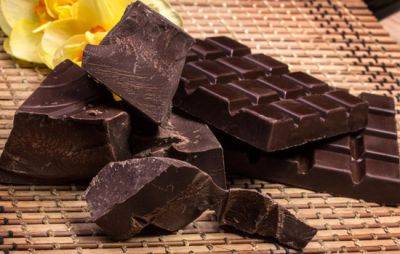 AJCN: ученые нашли связь темного шоколада с повышением интеллекта у людей