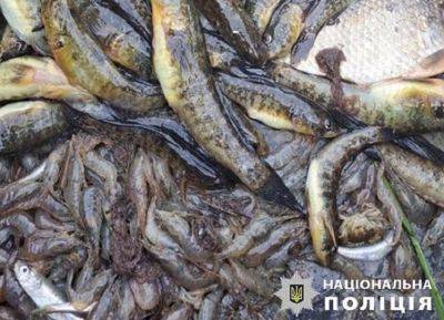 В Одесской области поймали «рыбного» браконьера | Новости Одессы