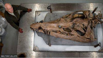 Подводный монстр Юрского периода. В Британии обнаружили колоссальный череп плиозавра