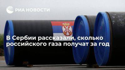 Глава "Србиягаза": поставки газа из РФ в год достигнут 2,4-2,6 млрд кубометров