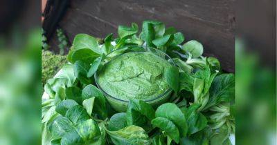 Зеленый соус из листьев салата к новогоднему столу: просто и быстро