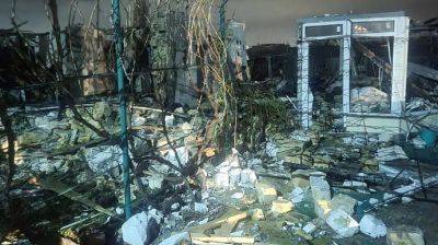 В Одесской области сбитый дрон упал на частный дом и взорвался. Погиб мужчина