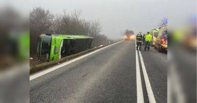 Автобус с десятками украинцев перевернулся на трассе в Словакии: есть пострадавшие (фото)