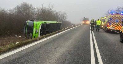 В Словакии перевернулся автобус с украинцами: что известно